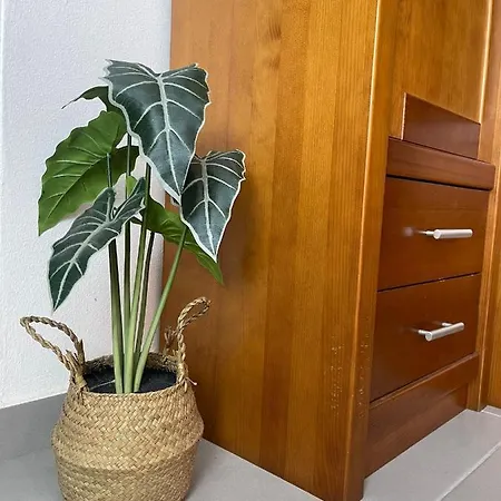 Tatil Evi Passagem Pro Mar *
